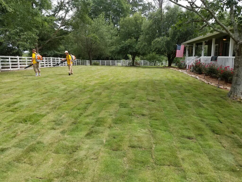 Fresh sod installation Griffin Georgia