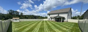 Read more about the article When to Fertilize Bermuda Grass in Georgia &mdash; Month-by-Month Guide